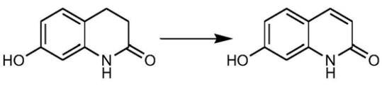 Figure 1 Synthesis Reaction of 7-Hydroxyquinolinone.png