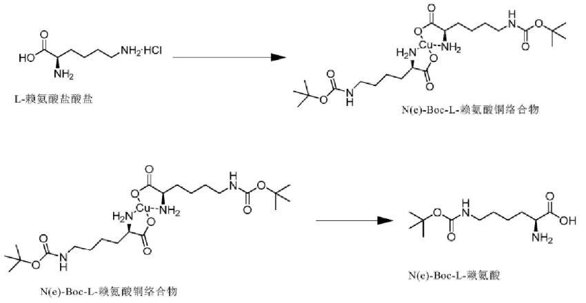 N(e)-Boc-L-赖氨酸的合成.png