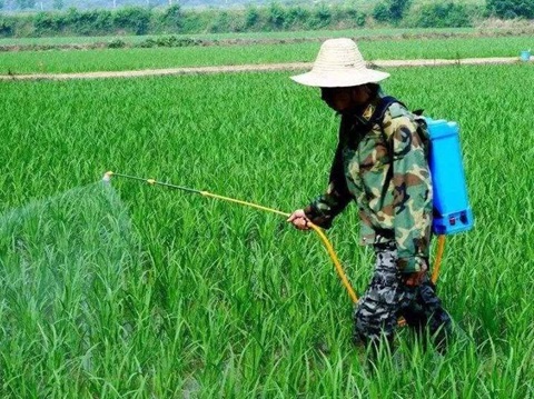 喷洒除草剂