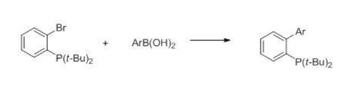 图1 2-(二叔丁基膦)联苯的合成反应式.png