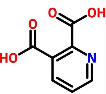 2,3-吡啶二甲酸