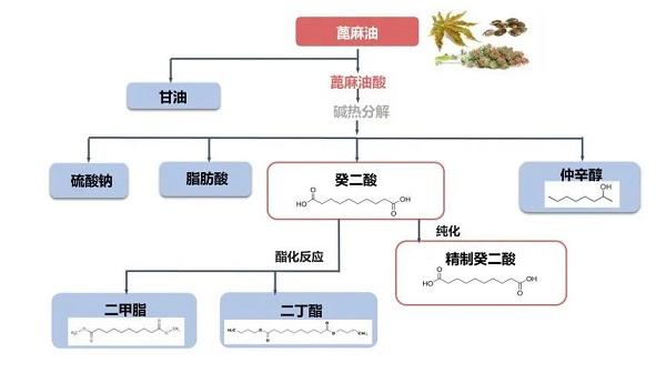 癸二酸