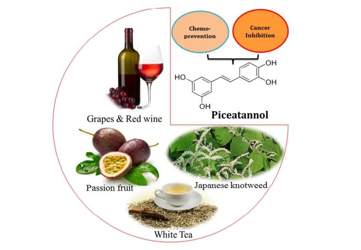 Foods Rich in Piceatannol