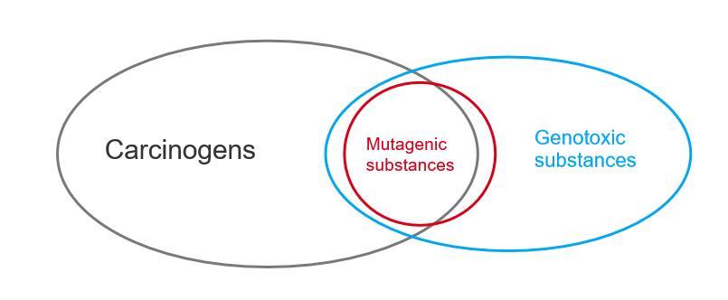 Identification and Classification of Mutagenic Impurities from FDA Deficiency Letters