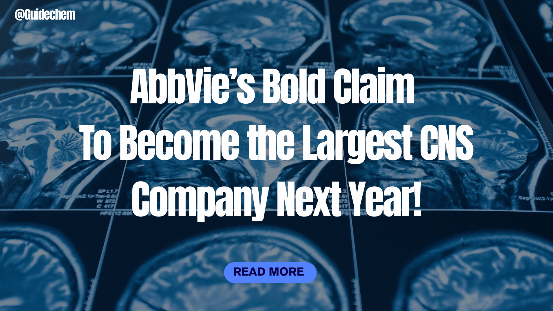 AbbVie's Bold Claim: To Become the Largest CNS Company Next Year!