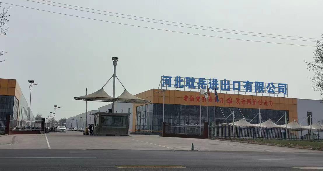 Hebei Danyue Import and Export Co., Ltd