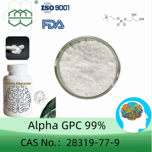 Manufacturer Supplies supplement high-quality Choline glycerophosphate 99% purity min.