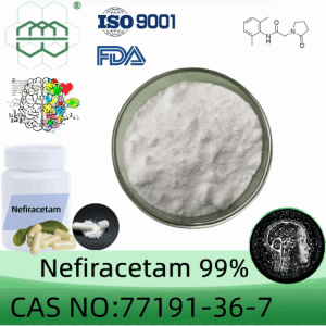 Manufacturer Supplies supplement high-quality Nefiracetam 99% purity min.