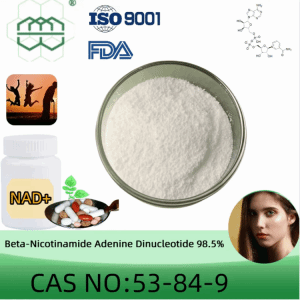 Manufacturer Supplies supplement high-quality Beta-Nicotinamide Adenine Dinucleotide 98.5% purity min.