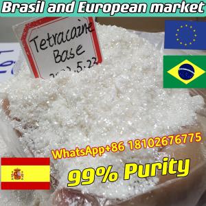 Spain Brazil European Markets,99% Purity Tetracaine Base Powder Cas:94-24-6 Powder Safe Delivery