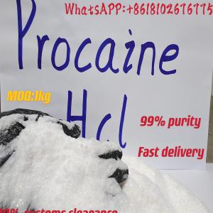 European Markets,99% Purity Procaine Hcl Powder Cas:51-05-8 Powder Safe Delivery