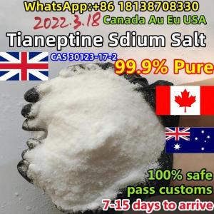 USA Europe 100% Safe Shipping, >99% Pure Tianeptine/Tianeptine Sodium Salt/Tianeptine Sulfate Powder CAS 30123-17-2