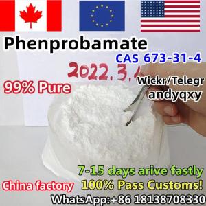 USA Europe 100% Safe Shipping, >99% Purity Phenprobamate Powder CAS 673-31-4