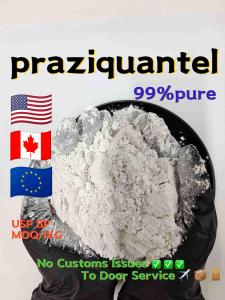 Safe Delivery 99% Pure Praziquantel Powder CAS 55268-74-1 Prazicuantel Polvo Em Po Door To Door China factory