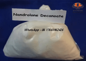 Deca-Durabolin Raw Powder Nandrolone Decanoate CAS:360-70-3