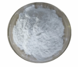 Sodium Dichloroacetate CAS No 2156-56-1