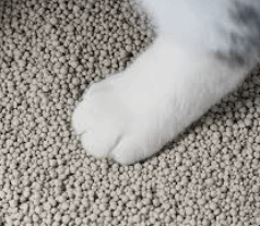 Clumping cat litter / clay cat litter / china pet supplies cat litter