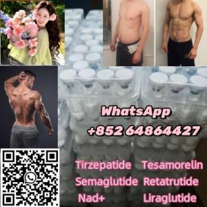 Good Price 99% Purity Human Growth Peptides Ss-31 Bioregulator Foxo4 Sema Tirze Customized Peptide Powder