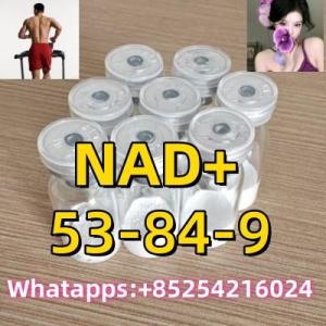 Best Supplier Factory Hot Special High Quality White Podwer 53-84-9 Nad+ CAS 53-84-9